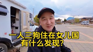 鐵牛旅行記360集/一人三狗開著房車到了女兒國瀘沽湖，摩梭大哥要我留下來走婚#狗是人类最忠诚的朋友 #中国乡村 #環遊中國 #中国乡村 #自驾游【铁牛旅行记】