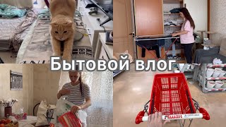 Бытовой влог 🧹 Закупка продуктов, уборка, готовка🤪