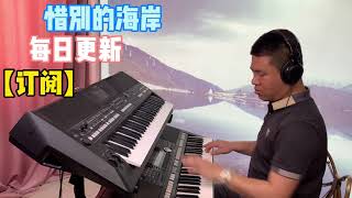 电子琴演奏一首惜别的海岸Electronic keyboard performance