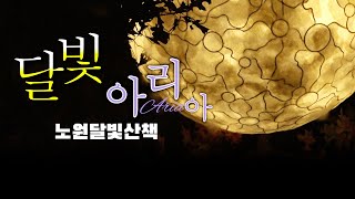 [다큐] 당현천 달빛산책