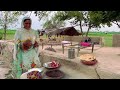 pakistani women life in punjab village i the most beautiful village in pakistan i happy joint family