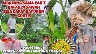 MBOLANG SAMA PAK'E‼️KALAU DISAWAH BISA DAPAT SAYURAN GRATIS‼️REQUEST BUDE PENGEN ONTONG \u0026 REBUNG