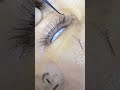 eyelash eyelashtransplant eyelashtransplantation 植睫毛 植睫毛課程 睫毛种植 眉毛种植 植眉 eyebrowtransplant