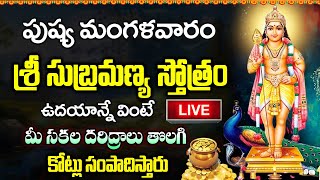 LIVE: మంగళవారం శ్రీ సుబ్రమణ్య స్తోత్రం ఉదయాన్నే వింటే కోట్లు సంపాదిస్తారు | Sri Subramanya Stotram