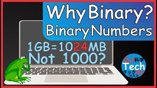 How Computers Represent Numbers?