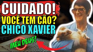 CHOCANTE: O Que Chico Xavier Previu Para quem Tem CACHORRO EM CASA I Revela Profecias