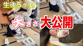 【生後5ヶ月】身長・体重・その他もろもろ大公開!!!