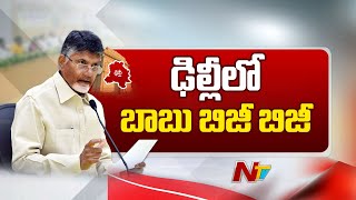 ఢిల్లీలో బాబు బిజీ బిజీ | CM Chandrababu Delhi Tour | Ntv