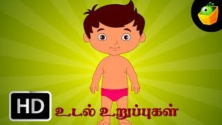 Udal Uruppugal (Body Parts) | Chellame Chellam | Tamil Rhymes For Kutties