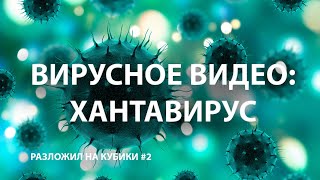 ВИРУСНОЕ ВИДЕО! ХАНТАВИРУС