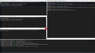 Getting Pub/Sub up and running in NATS with Go