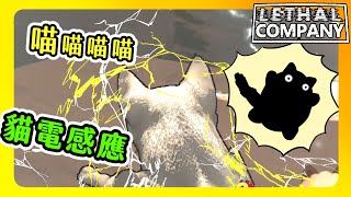 【喵哈】貓電感應!!貓咪竟然帶電!這靜電威力也太強【致命公司Lethal Company】(feat.凱吉/小光/光虎/傑瑞)