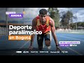 Especiales AHORA | Deporte paralímpico en Bogotá