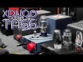 Darkvoice Killer? // Xduoo TA66 // Z Reviews