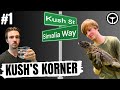 Alex Myers speaks on where things are at in the reptile world | Kush's Korner Ep.1