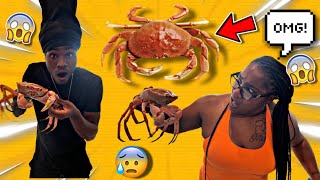 TRYING HUGE JUICY GOLDEN CRABS FOR THE FIRST TIME!!!