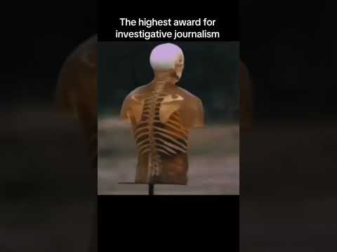 What is the highest award in investigative journalism?