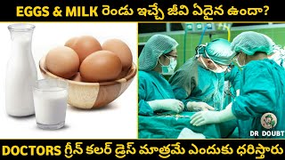 EGGS \u0026 MILK రెండు ఇచ్చే జీవి ఏదైన ఉందా? Interesting Facts In Telugu | Telugu Facts | Facts In Telugu