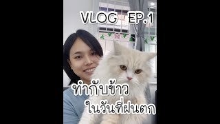 VLOG EP.1 ทำกับข้าวในวันที่ฝนตกㅣTAWNATTAKAN