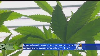 Mass May Not Be Ready For Recreational Marijuana Sales By July 1