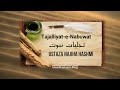 Seerah Lesson # 2 by Ustazah Najiha Hashmi