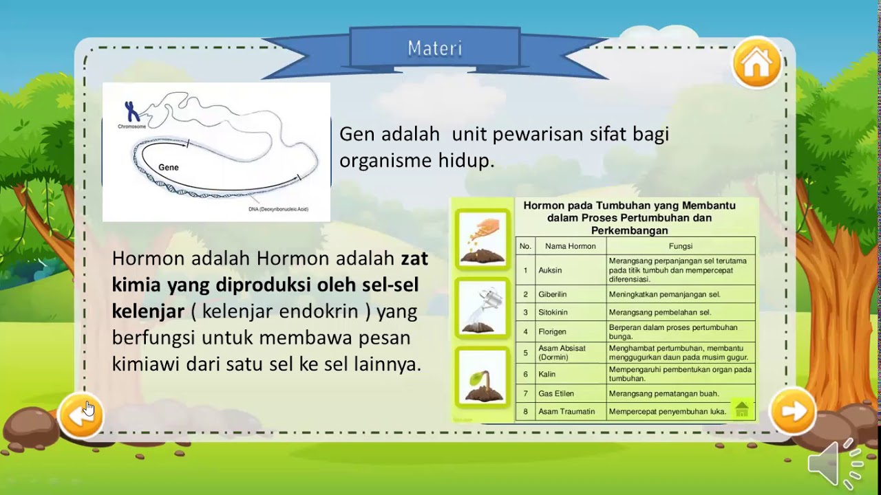 CD Interaktif Pertumbuhan Dan Perkembangan Pada Makhluk Hidup - YouTube