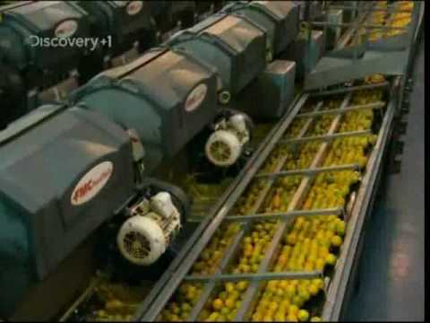 How Orange Juice Is Made How Orange Juice Is Made