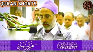 Younus aswelas new telawat 2025 /QURAN SHORTS/القاري الشيخ يونس اسويلص