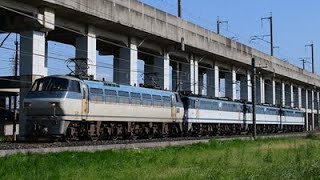 圧巻の四重単！EF65-2057、2117、2138 宇都宮貨物ターミナル疎開回送