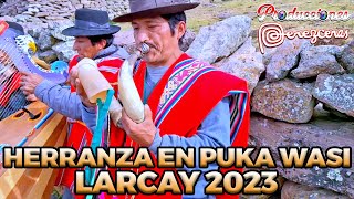 Herranza de Vacas en PUKA WASI _ QATUN URCCU _ LARCAY 2023 _ Familia ASTOQUILCA RODAS 🎶