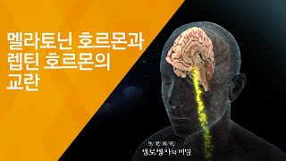 멜라토닌 호르몬과 렙틴 호르몬의 교란 - (2018.4.25_645회 방송) 생체리듬을 맞춰라, 시간제한 다이어트