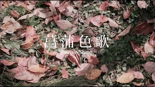 Serrini 《菖蒲色歌》(Official MV)