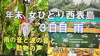 【島旅】年末 女ひとり旅 西表島へ③ ３日目は雨の一日☔