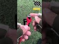 fastest knot for camping bushcraft knotshort