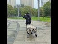 airwheel intelligent life the best rideable mini smart electric black pink silver scooter suitcase