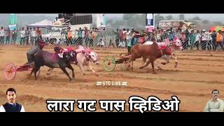 लारा गट पास व्हिडिओ ||  Lara gat pass video || #bailgadasharyat #bakasur #bailgada #bailgadapremi