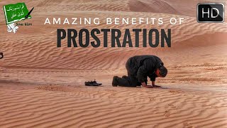 Amazing Medical Benefits In The Prostration