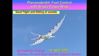 翼竜型羽ばたき機　プテラノドン　Pteranodon64FootCntrol：Good Flight and Gliding at seaside