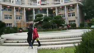 央视著名主持人：撒贝宁在武汉住的小区，这房价很意外