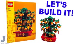 LEGO 2023 Money Tree 40648 Build \u0026 Review