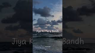 Apna banale | Arijit Singh | Bhediya | lyrics status | Hindi music status | Lofi | status | Love |💖