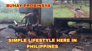 A SIMPLE LIFESTYLE HERE IN PHILIPPINES | BUHAY BUKID