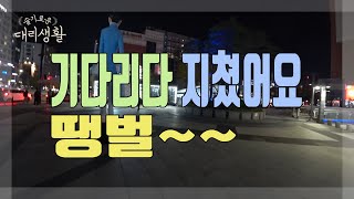 🚗슬기로운 대리생활✅23년10월22일🚩대리브리핑🏃기다리다 지쳤어요 땡벌~~