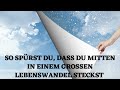 so spürst du dass du mitten in einem großen lebenswandel steckst