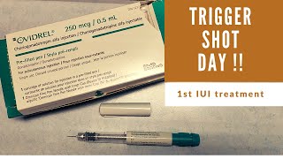 促排卵针怎么打❓到底疼不疼😖 Trigger Shot Day for 1st Round IUI💉