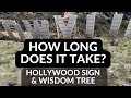 Shortest Hike to Hollywood Sign - Step by Step Directions with Time, Full Trail, Wisdom Tree