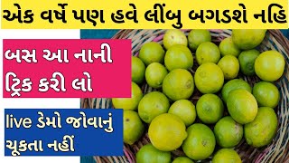 એક વર્ષે પણ હવે તમારા ઘર માં રહેલ લીંબુ બગડશે નહિ | લીંબુ ને લાંબા સમય સુધી કંઈ રીતે સાચવી શકાય