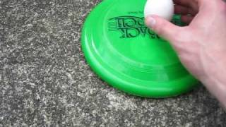 The Great Egg Experiment