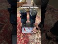 how to break in snowboarding boots 🥾🔨 snowboarding