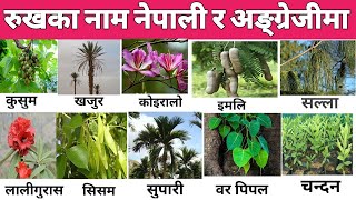 रुखहरु का नाम अङ्ग्रेजी र नेपाली मा सिकौ है त  tree name in english and nepali#informativenepali185